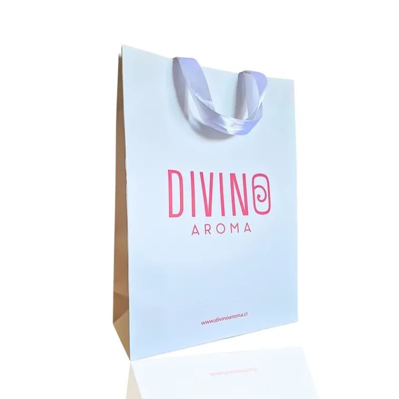 Imagen de BOLSA GRANDE PREMIUM DA 25X35X10